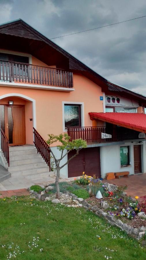 Studio Apartman Safaric Sveti Martin Na Muri Exterior photo