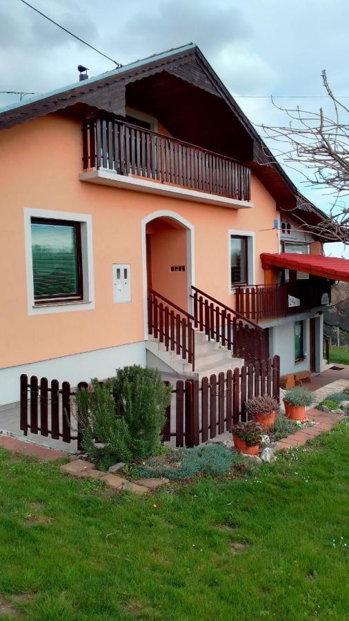 Studio Apartman Safaric Sveti Martin Na Muri Exterior photo